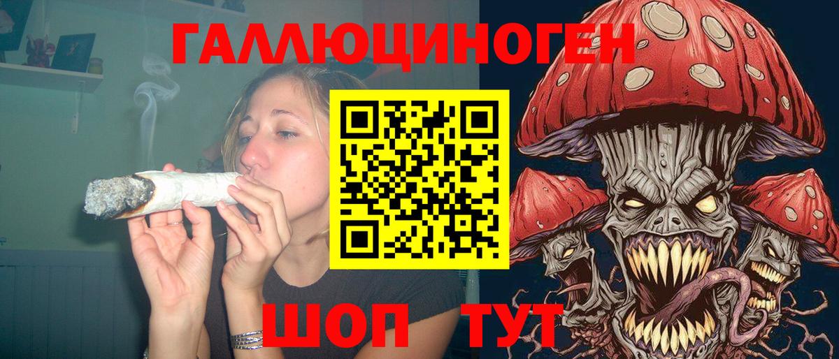 Брянск  Галлюциногенные грибы Cubensis  Вход с VPN 