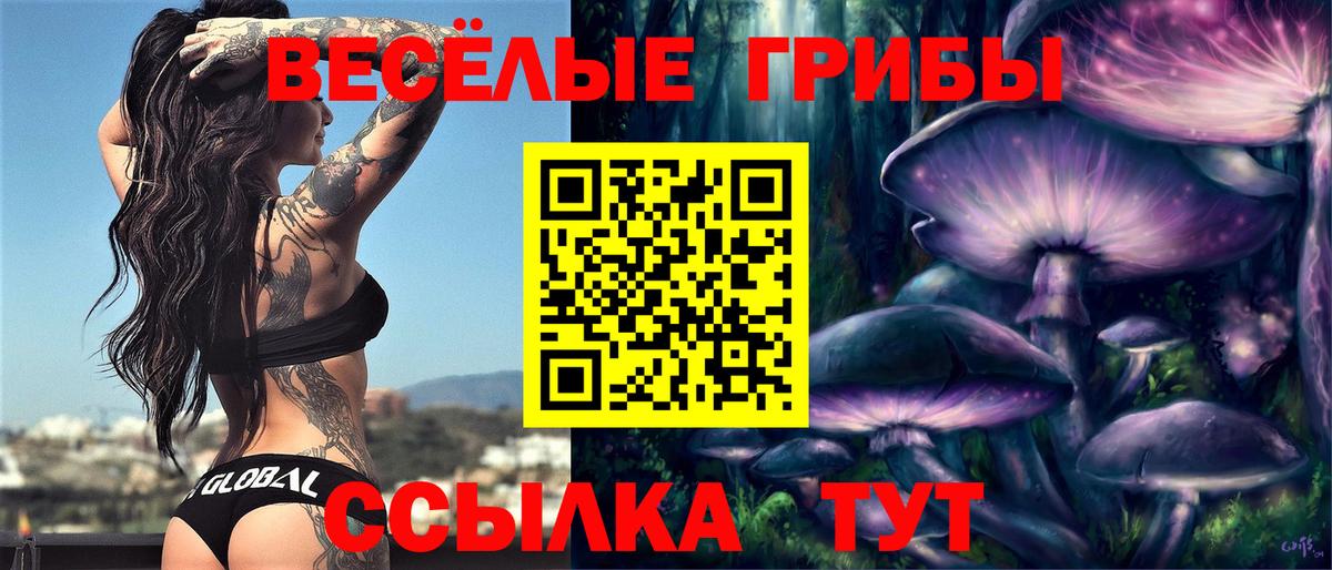Галлюциногенные грибы MAGIC MUSHROOMS Брянск